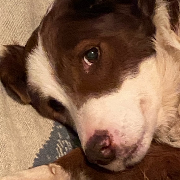 Meet your Posher, Tiffany - Picture 1 of 1